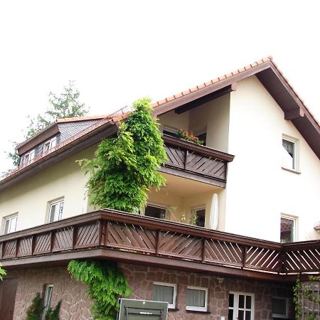 Ferienwohnung Im Dg, Parkplatz Vorm Haus, Wlan Rosenthal-Bielatal Екстер'єр фото